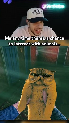 In a game like No, I’m Not A Human even the grumpiest cats give a little reprieve.