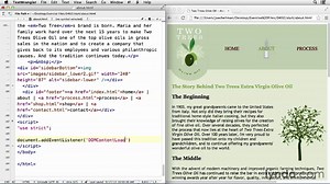 JavaScript for Web Designers by Computer Software Tutorials - Dailymotion