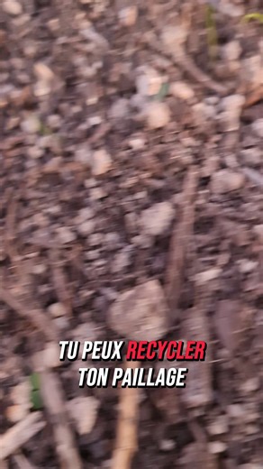 321K views · 2.2K reactions | Avant d’avoir une serre, je bricolais...