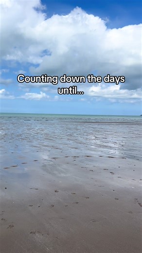 Nothing beats watching them run free on the sand 🐾💛 Counting down until sunny beach days like this… Are you more: 🌊 Sea dips 🏖️ Sandcastle builder 🐕 Dog zoomies supervisor Tell me below 👇. #beachdays #sunshine #dogfriendly #familydaysinthesun #visitwales
