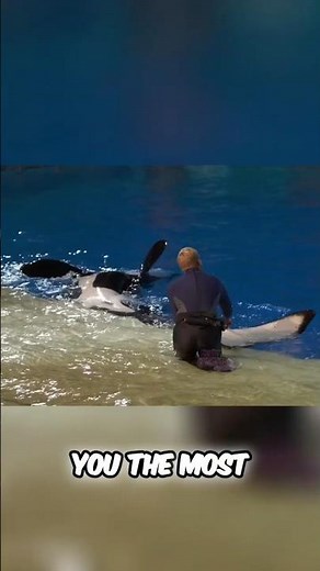 Orcas' Ocean struggles | Plastic, Noise, & Scarcity Explained!