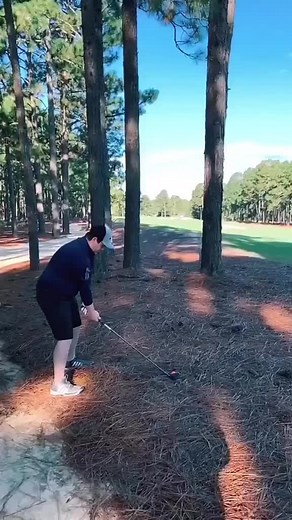⁣Incoming!! 🤣 #golfing #golfling #golfcourse #golflife #golfstagram #golfing #driver Via: @golfingkings (Avgjoegolf/TikTok)
