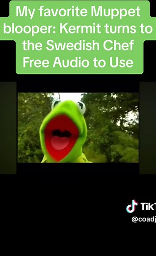 Kermit and the Swedish Chef: Muppet Bloopers Audio