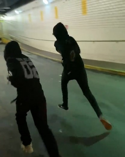 7.5K views · 190 reactions | I WANTED CHEESE!!! @badkidjimmy @w3t.trunkss | The Shark Puppet | Facebook