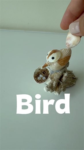 Bird Shell | Calm Silent Painting