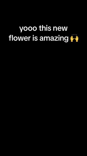 Exploring New Biomes in Minecraft - Fun and Exciting Gameplay Moments