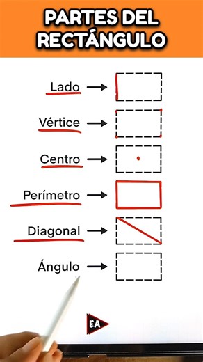💥 Partes del rectángulo 🤓✌️ #maths #matemática #mathematics (▶2976)