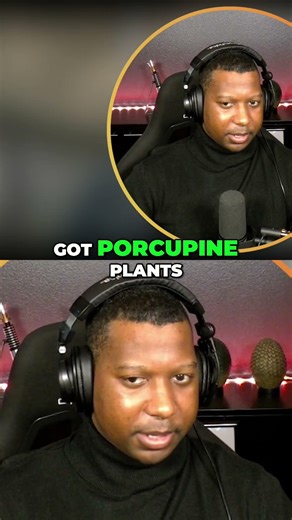 This Scene Had Me Tense 😰 #reaction #shorts #tension