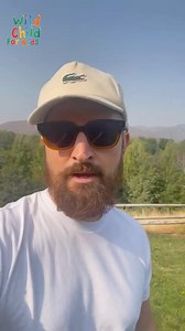 Our second single off of our new kids album “Animals” comes out Oct 31! Pre-save now to be part of the adventure 🦁🐒🦄 | Wild Child