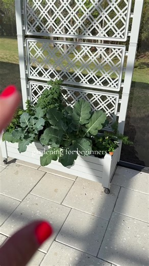 The easy way to garden… on wheels! Move it around for more sun, more shade, or for watering. The planting possibilities are endless too 🤩 #planter #garden #beginnergardener #backyard #patio