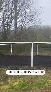 40 reactions | Racehorses are INCREDIBLE  Richard Fahey Racing, Musely Bank, Malton. #horse #horses #horseracing #beverley #beverleyraces #beverleyracecourse | Beverley Racecourse | Facebook