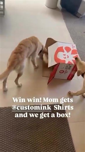 Unboxing: Dog Edition