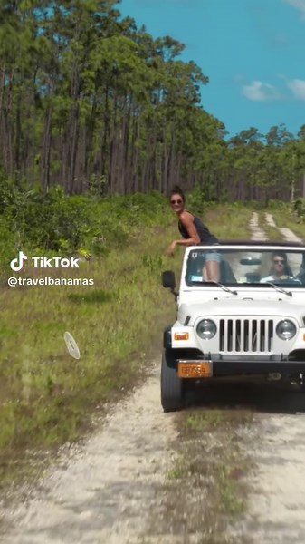 Explore Grand Bahama Island and Beyond in the Bahamas