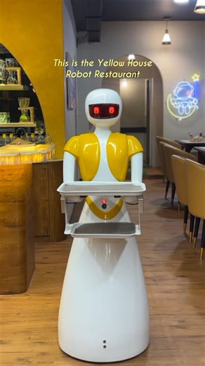 Vidhi Sharma (aka @foodies.of.vadodara) on Instagram: "Vadodara’s first robot restaurant is here, and Ruby the Robot is all set to serve you some delicious dishes at The Yellow House 😍✨ From multi-cuisine delights to a futuristic dining vibe, this place is a must-visit with your fam & friends! 📍Narayan Solaris, Near Akota Stadium Road Tag your foodie gang & plan your visit now!"