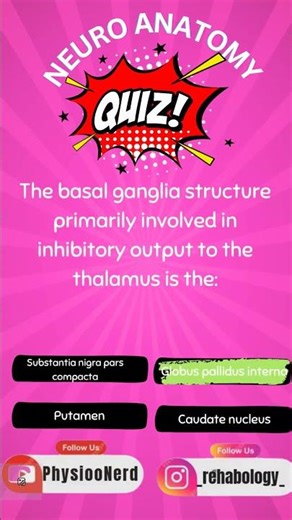 Neuro Anatomy exam ready quiz for PGs 35