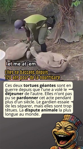Elles se battent depuis 120 ans pour de la nourriture #drole #insolites #dispute