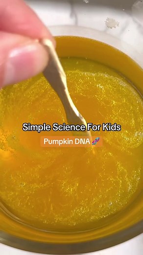 Did you know you can extract the DNA from pumpkin? 🎃 🧬 How does this work? DNA contains the genetic make-up for all living organisms. To remove the DNA of a pumpkin, follow these steps below: 1. Blend the pumpkin with water 2. Add soap to break down cell walls 3. Add salt to release the DNA 4. Use rubbing alcohol to make the DNA visible by separating it from the mixture That gooey mixture you see floating on top? That’s pumpkin DNA! | KiwiCo