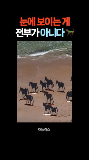 눈에 보이는 게 전부가 아니다 🐎