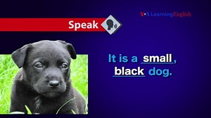 Let's Learn English Lesson 29 Speaking Practice