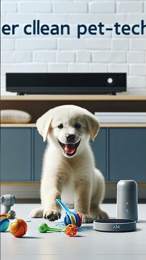 ** The Best Photos for Identifying Your Dog: Tips for Pet Owners!