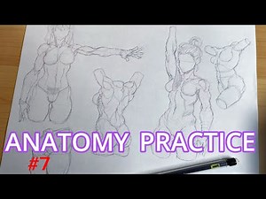 Anatomy Drawing Practice Timelapse - Female Torso Sketches Part 2