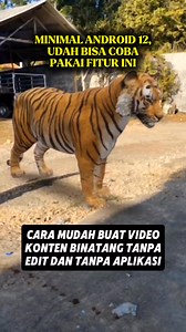 22K views · 8.1K reactions | Yang udah Android 12, bisa coba gunakan fitur 3D untuk bikin konten binatang di Google. #tutorial #tipsandroid #google #3D | Ahmad Bakir | Facebook