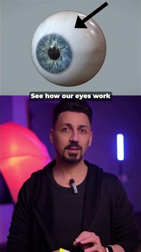 How Everything Around You Works 🔥