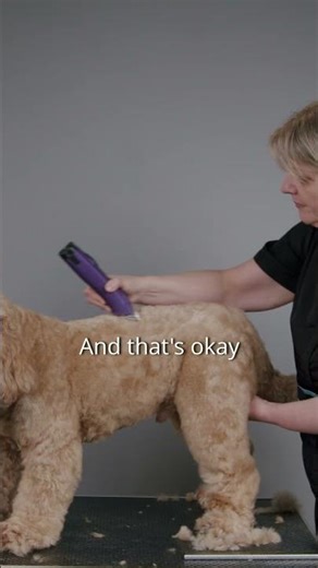 Do you need a higher speed clipper? - Clipping Fundamentals Masterclass Trailer