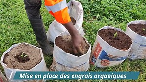 11 reactions | 𣏕𣏕Culture du poivron à domicile. Vous pouvez aussi le faire. Tami Jardin | StartUp Academy Ouest | Facebook