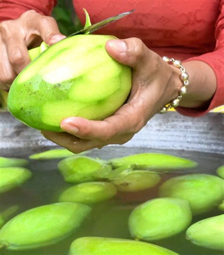 18K views · 106 reactions | Mango Eating | Jungle Cooking | Facebook