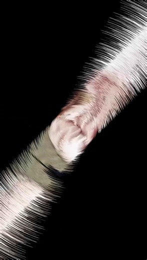 Exploring Multan: A Cultural Gem of Pakistan