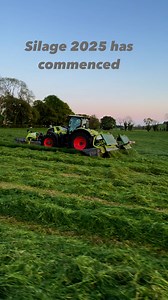 It’s that time of year again. Conditions are perfect for grass silage season. #GrassToMilk #silage2025 | cows.ie - David Clarke Livestock