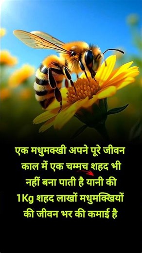 honeybee facts #factsinhindi