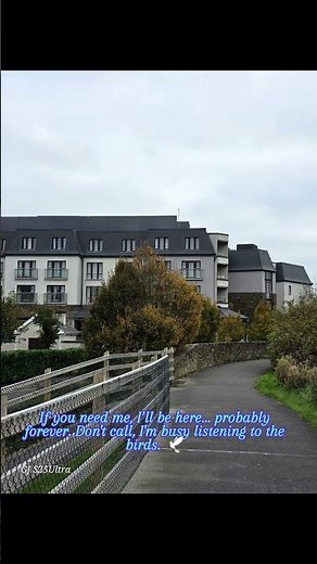 If you need me, I’ll be here... probably forever. Don't call, I'm busy listening to the birds.