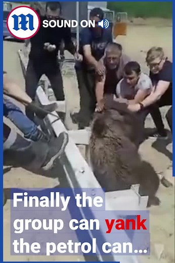1.5M views · 422 reactions | These fearless men rescue a bear cub from the petrol can! What courage!  ✊ 倫 | Daily Mail Australia | Facebook