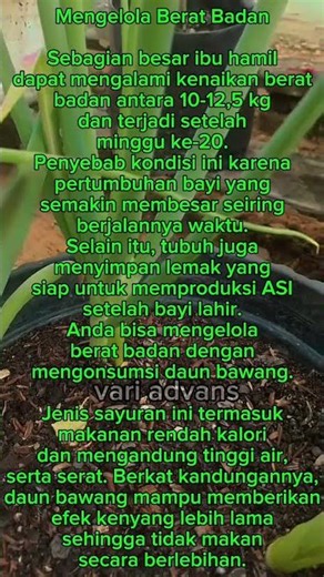 Manfaat Daun Bawang #tips #tricks #trending #semuaorang #sorotan #pengikut #viral #kesehatan #fyp