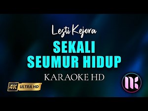 Sekali Seumur Hidup Karaoke - Lesti