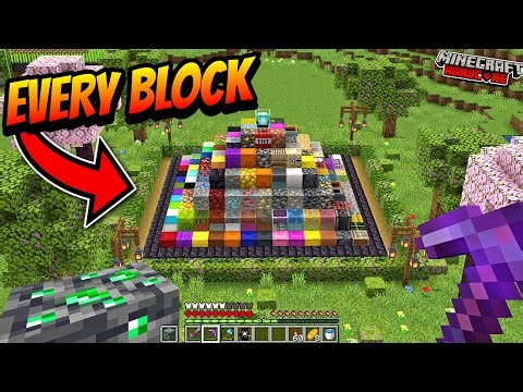 I Collected EVERY BlOCK In Minecraft Hardcore😰!