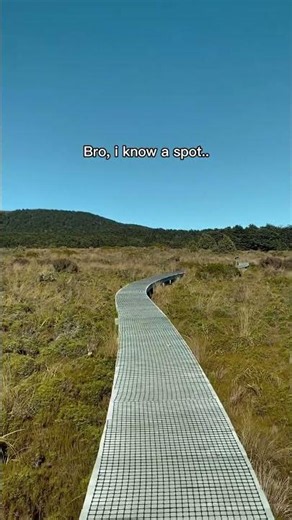 The best spot in New Zealand?! #newzealand #royspeak