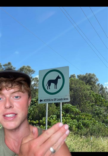 #greenscreenvideo | green screen video