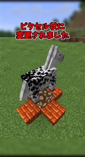 [Minecraft] The developers have released a truly unnecessary update... #shorts