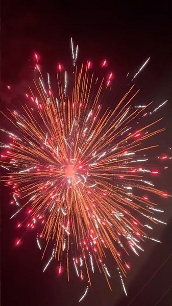 HCMF King Cobra 8” Shell 🧨