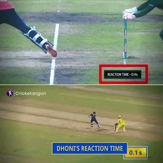 MS DHONI FASTEST STUMPING REACTION TIME #dhoni #msdhoni #cricket #shorts
