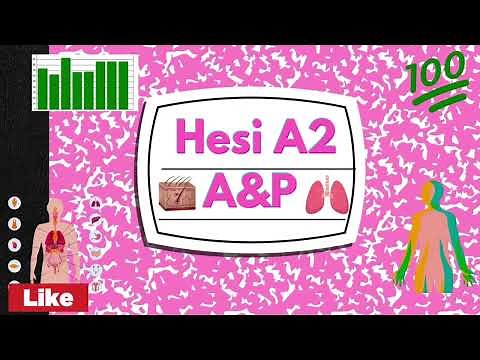Hesi A2 A&P Review 2025-2026
