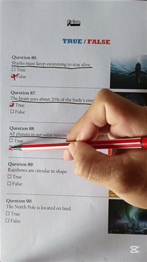 True/False Quiz [Can you get 5/5?]😎 #knowledge #brainteasers #us #quiz #shorts #viral #trending #fyp