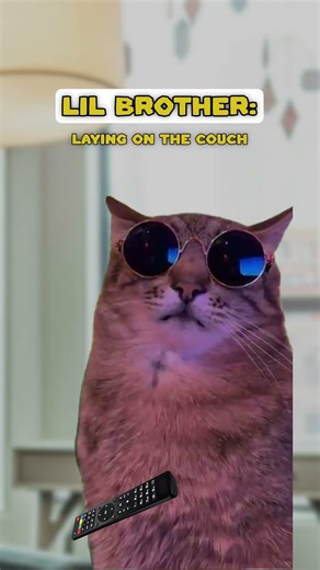 brother bribes sister 😅 (CAT MEMES🐈) ‪@lukedavidson81‬ #shorts