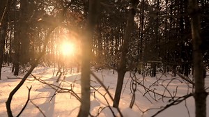 Thank you so much, everyone, for all the love and listens and shares for “All The Earth Alive Rejoicing”! Overwhelmed and grateful. Can’t wait to take this music live beginning this weekend. 🎄 | Sarah Hart