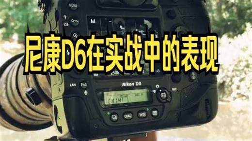 尼康D6在实战中的表现，让我非常满意！高感下的画质，连拍都比上一代有了提高！