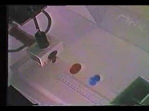 A Spectacular Vortex Ring Collision