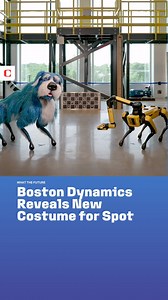 Boston Dynamics has revealed a new custom costume for Spot, its robotic dog, to explore the intersections of robotics, art, and entertainment. We’ll let you be the judge of if it helps make Spot more welcoming or not. #bostondynamics #roboticdog #robots #tech #costumes | CNET